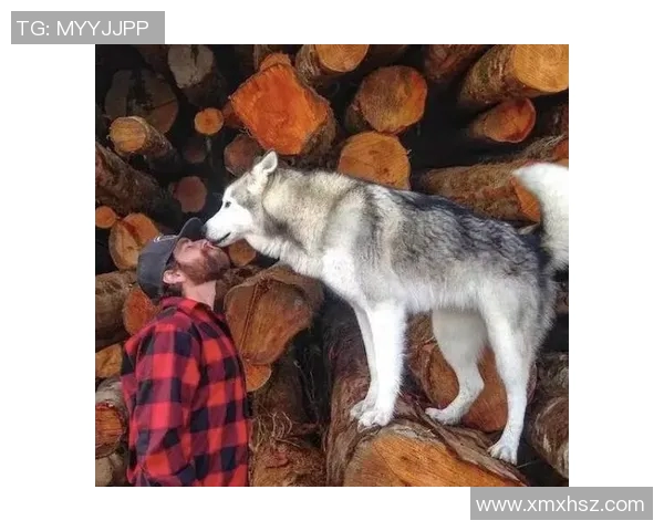 热爱足球与狗狗的明星球员们的感人故事与生活点滴